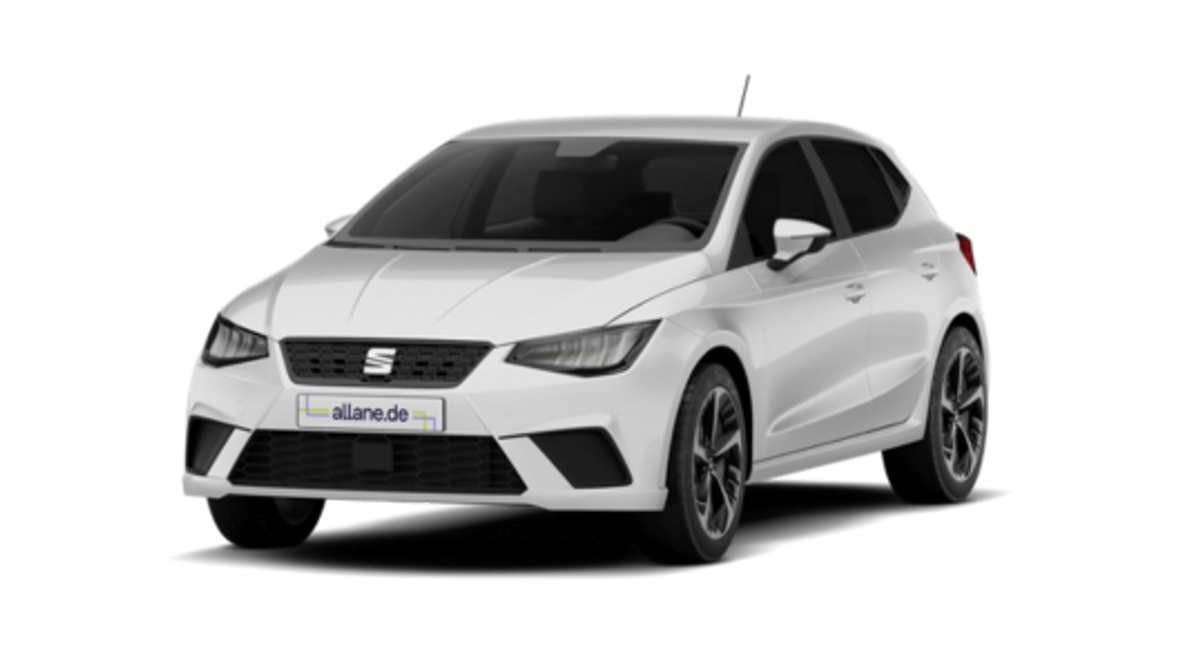 Seat Ibiza sichern