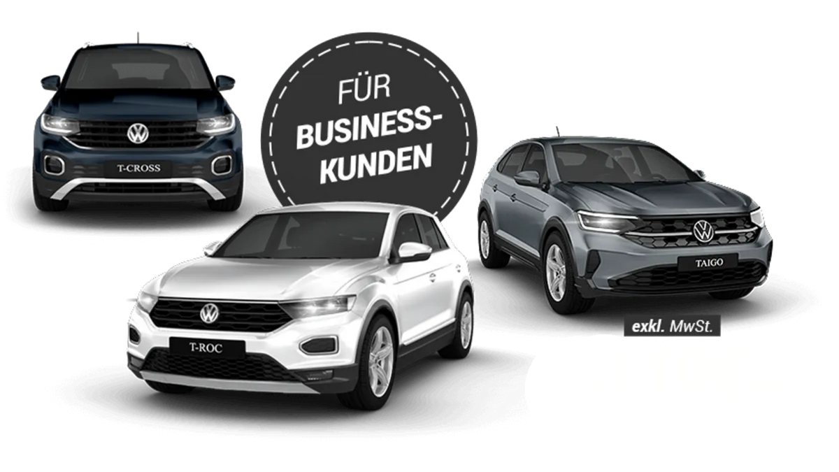 volkswagen_top-3-modelle_2022_silber_gewerbe_business
